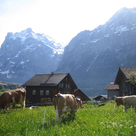Chalet Baergblick Grindelwald Zewnętrze zdjęcie