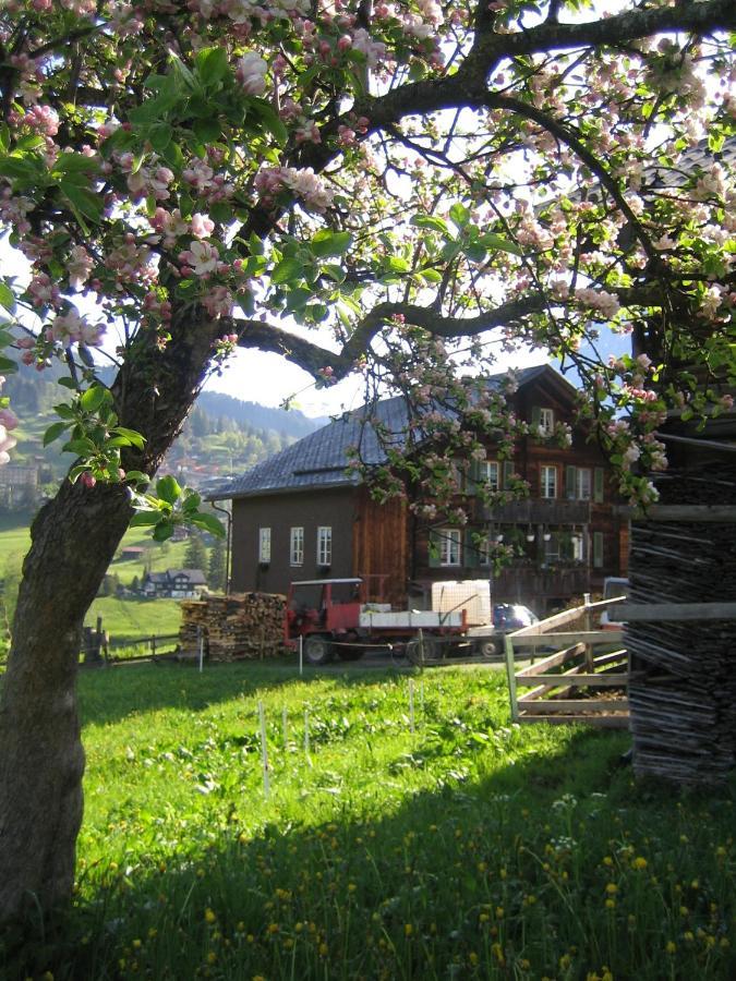 Chalet Baergblick Grindelwald Zewnętrze zdjęcie