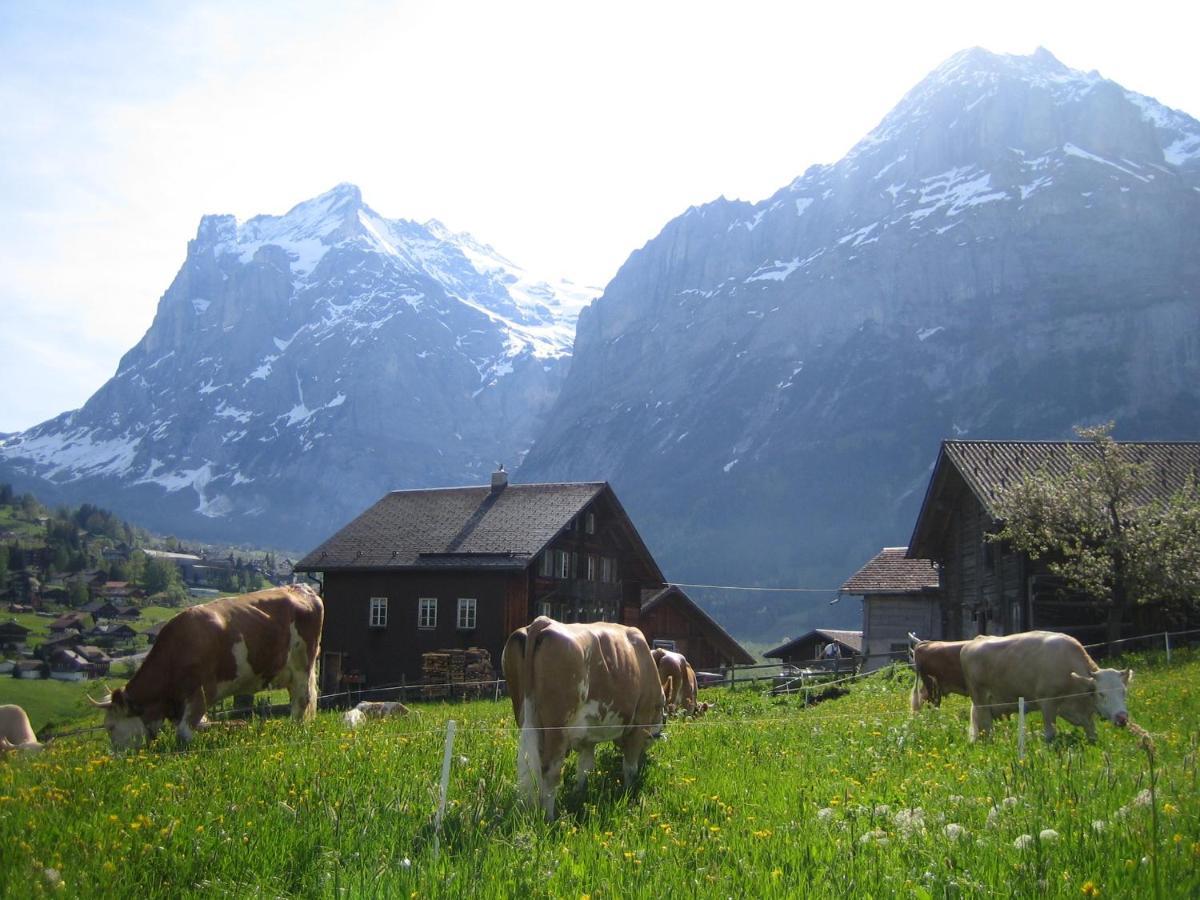 Chalet Baergblick Grindelwald Zewnętrze zdjęcie