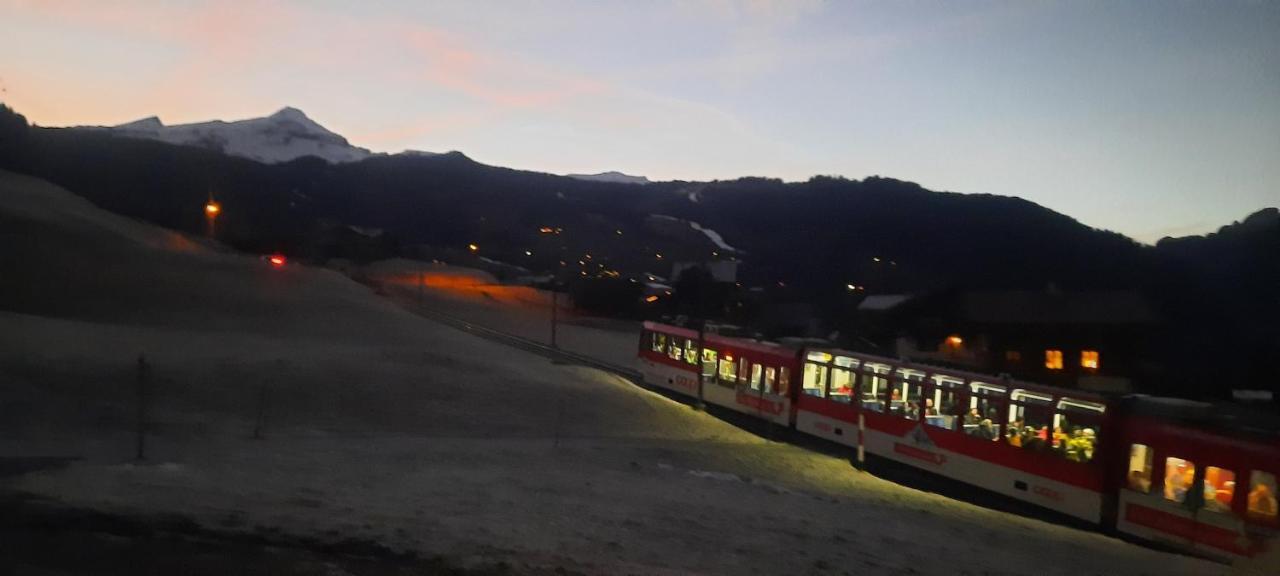 Chalet Baergblick Grindelwald Zewnętrze zdjęcie