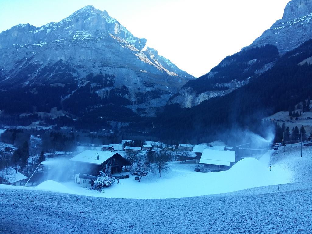 Chalet Baergblick Grindelwald Zewnętrze zdjęcie