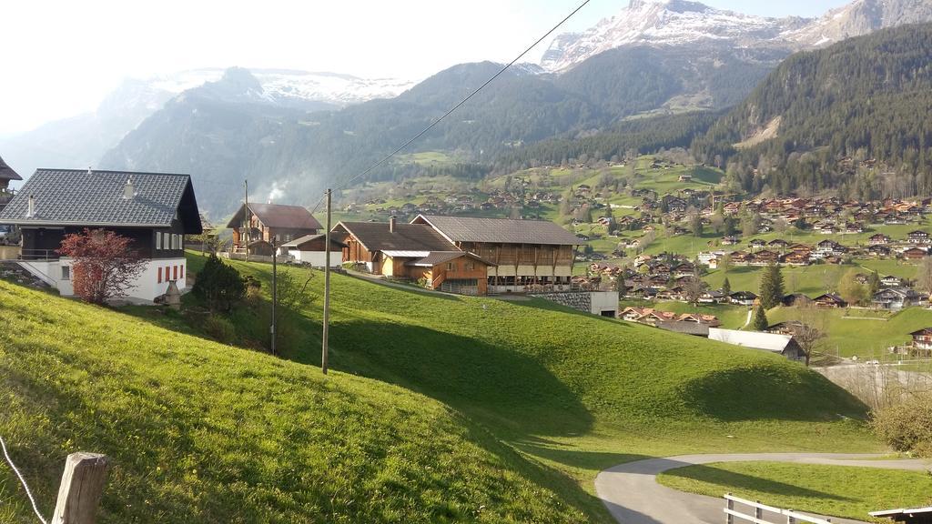 Chalet Baergblick Grindelwald Zewnętrze zdjęcie