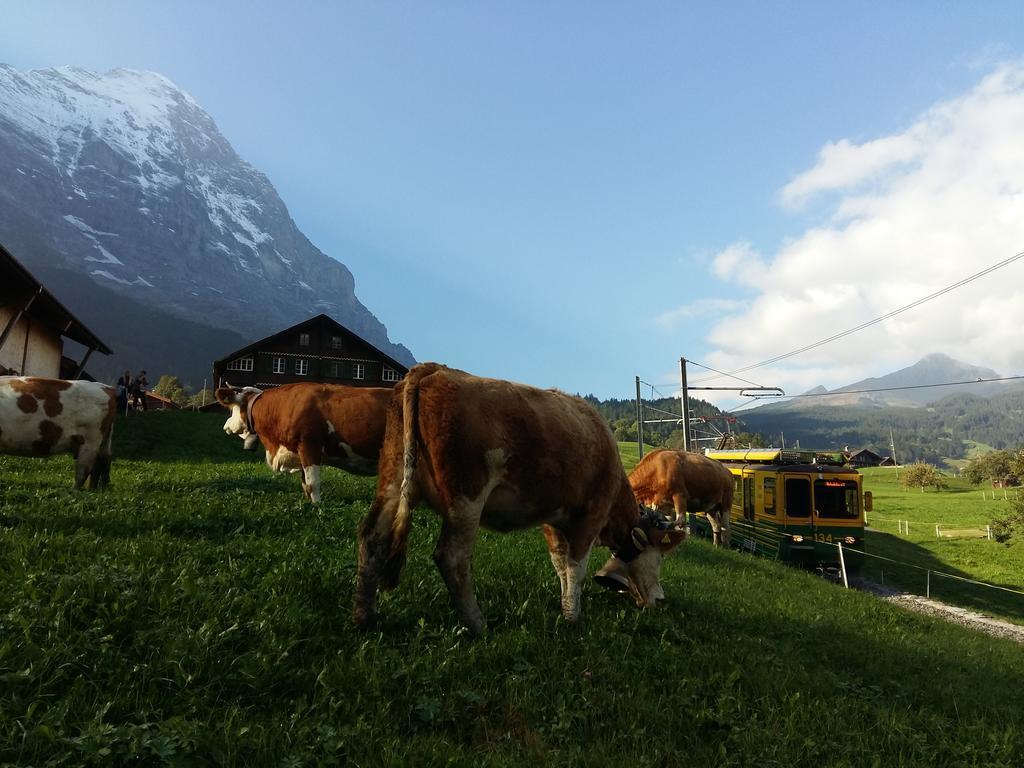 Chalet Baergblick Grindelwald Zewnętrze zdjęcie