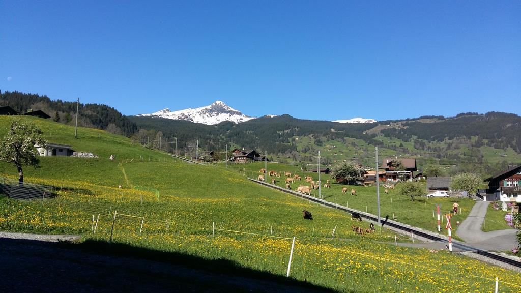 Chalet Baergblick Grindelwald Zewnętrze zdjęcie