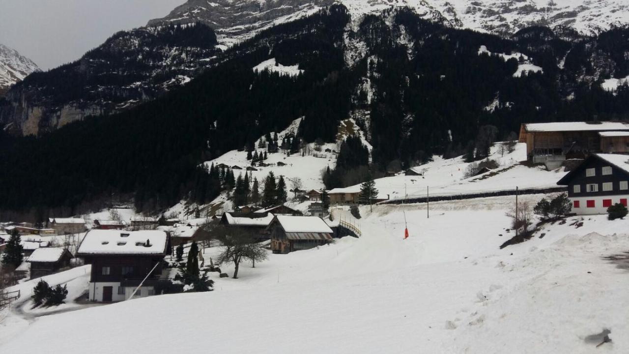 Chalet Baergblick Grindelwald Zewnętrze zdjęcie