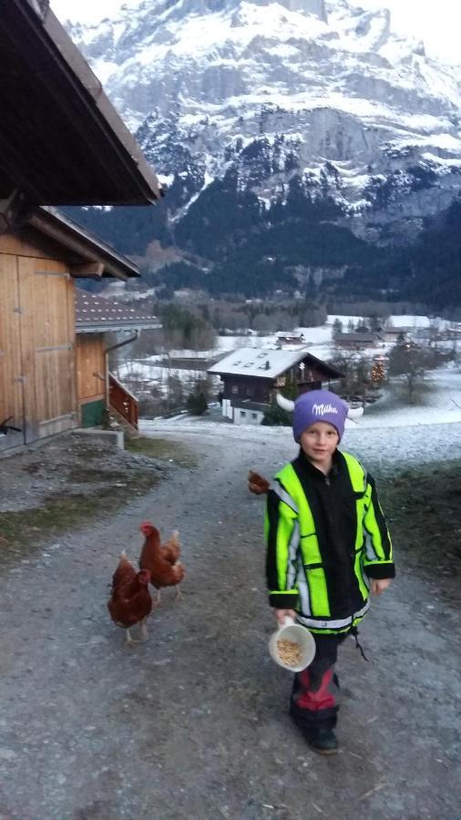 Chalet Baergblick Grindelwald Zewnętrze zdjęcie